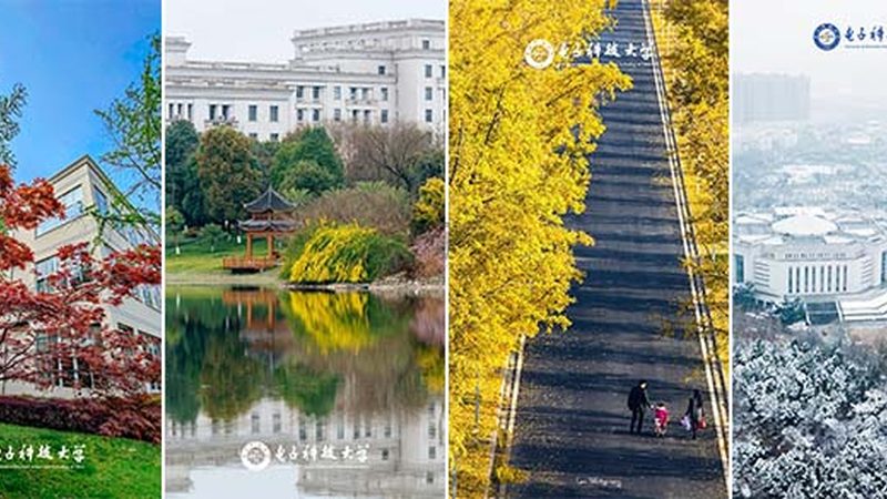 汽车电源电路电阻规格解析：关键参数与选型逻辑