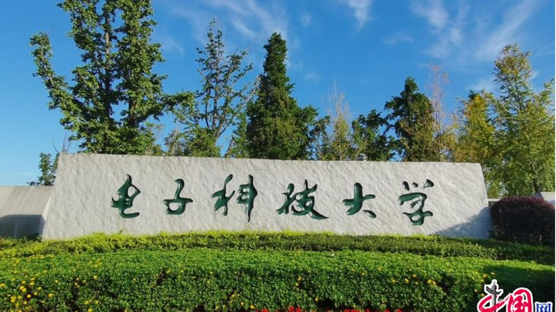 电子设计培训学习流程：从入门到精通的全方位解析